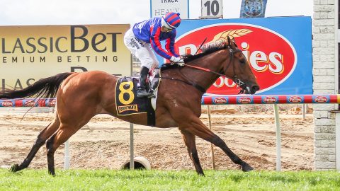 ATO Still has Racehorses In Its Sights