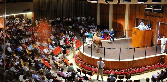 The Regulatory Regime governing the syndication of thoroughbred racehorses.