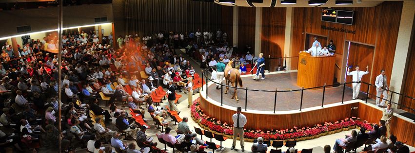 The Regulatory Regime governing the syndication of thoroughbred racehorses.